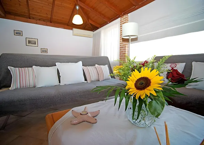 A View From The Attic Window アパート キパリシア